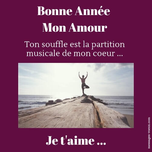 Messages D Amour Bonne Annee Voeux Romantiques Du Jour De L An 23