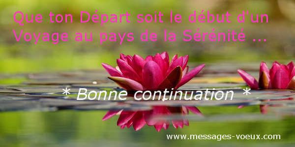 Message d'Adieu Départ d'un professeur Chanson Bonne continuation