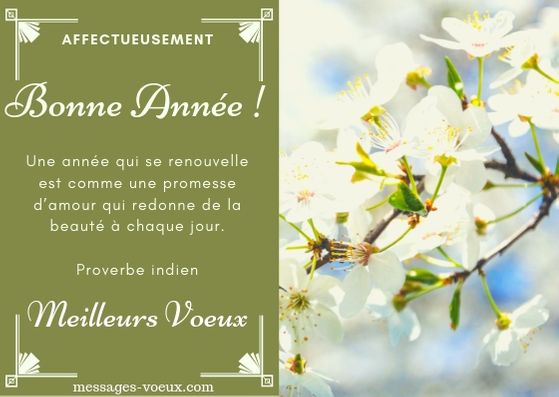 Proverbes Bonne Annee Citations Pour Voeux Et Dictons De Sagesse